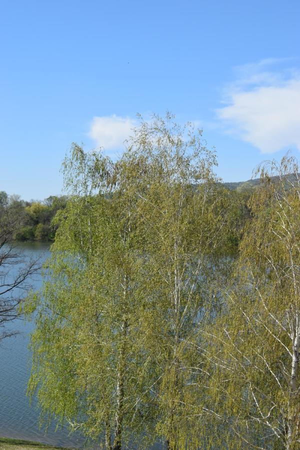 Apartmani K&V Veliko Gradište Esterno foto
