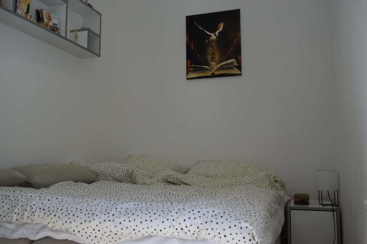 Apartmani K&V Veliko Gradište Esterno foto