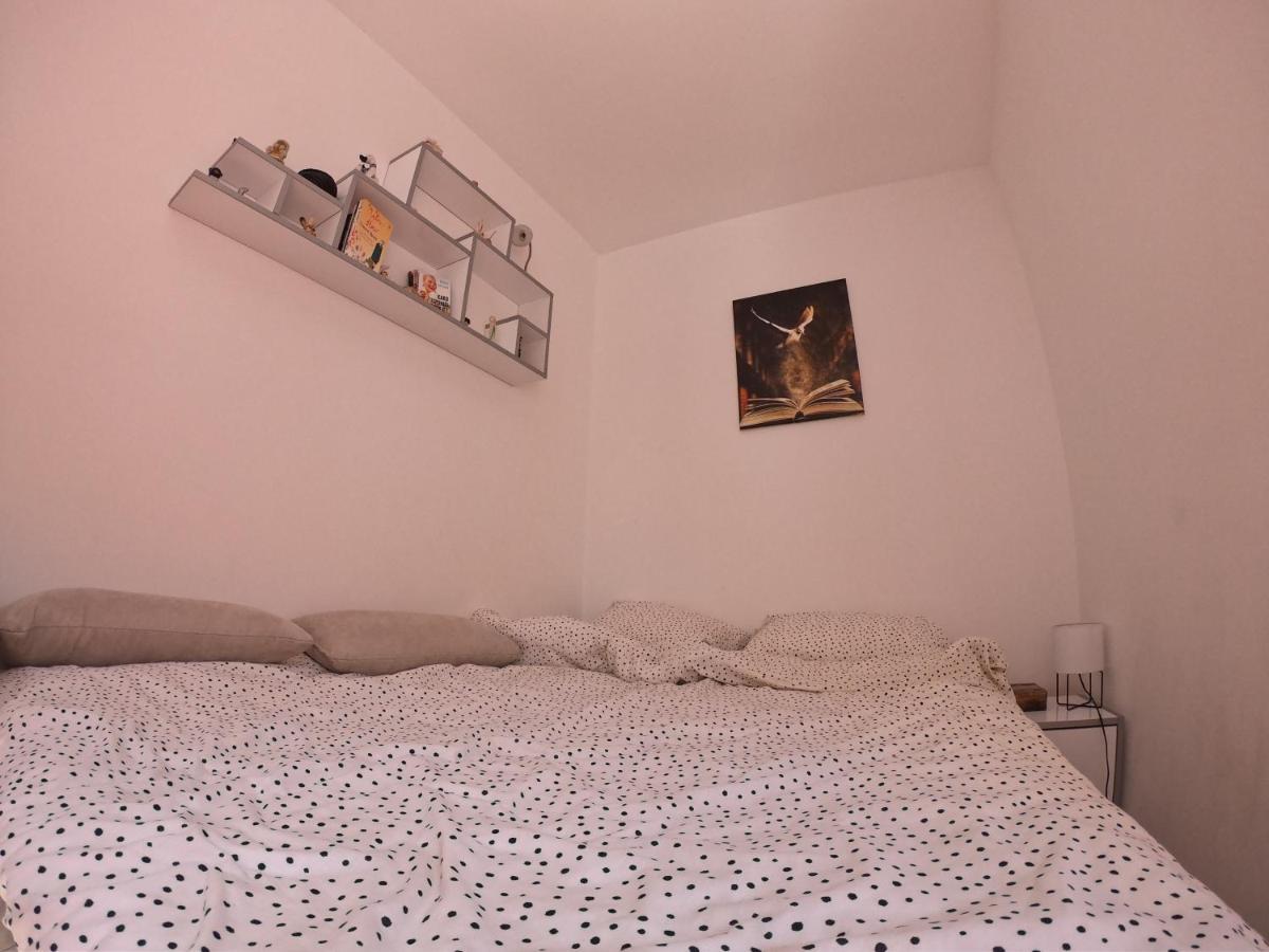 Apartmani K&V Veliko Gradište Esterno foto